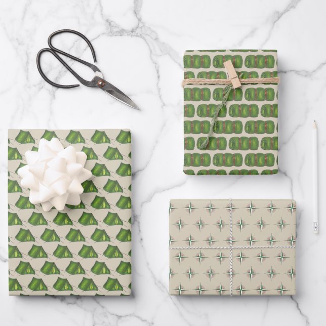 Compass Sleeping Bag Tent Summer Camp Camping Wrapping Paper Sheets (Front)