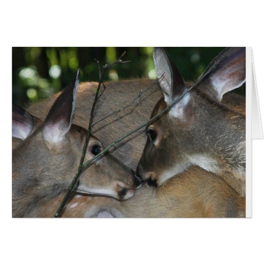 Compassion & Respect of Nature Cards (Front Horizontal)