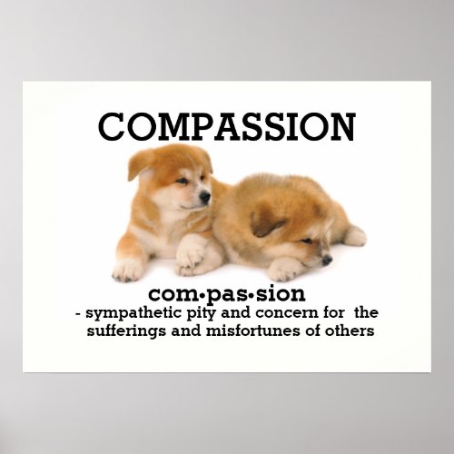 COMPASSION _ Vocabulary  Poster
