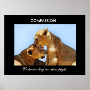 Compassion with orphaned cubs poster