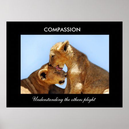 Compassion With Orphaned Cubs Poster