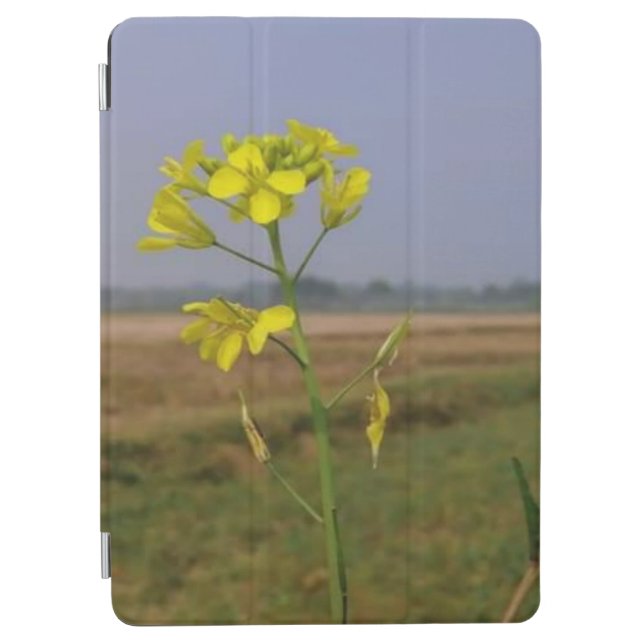 Compatibility: iPad 9.7" Smart Cover (Front)