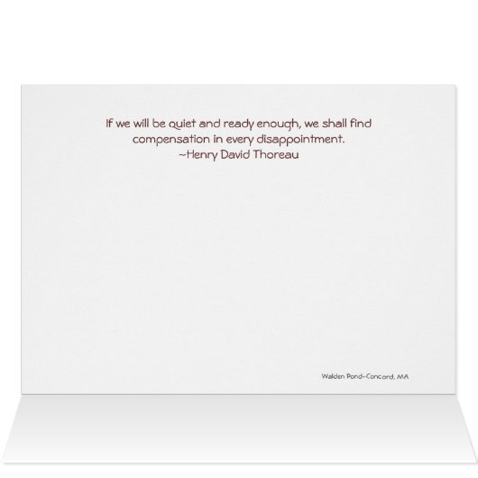 Compensation in Every Disappointment (Inside Horizontal (Top))