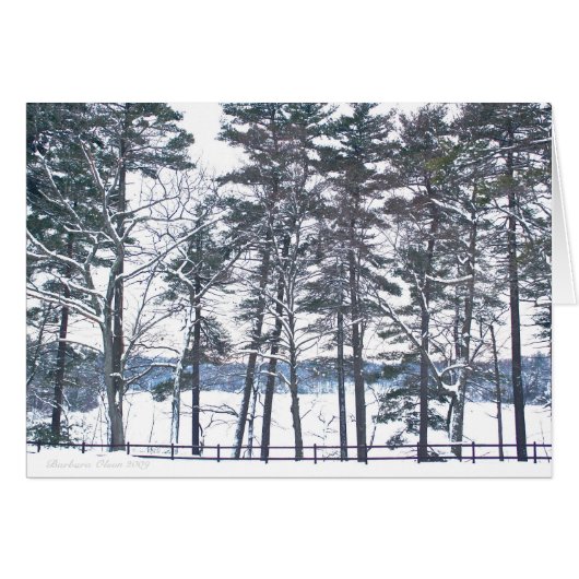 Compensation in Every Disappointment (Front Horizontal)