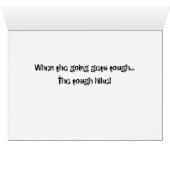 Competition Sailing Catamaran Picture (Inside Horizontal (Bottom))