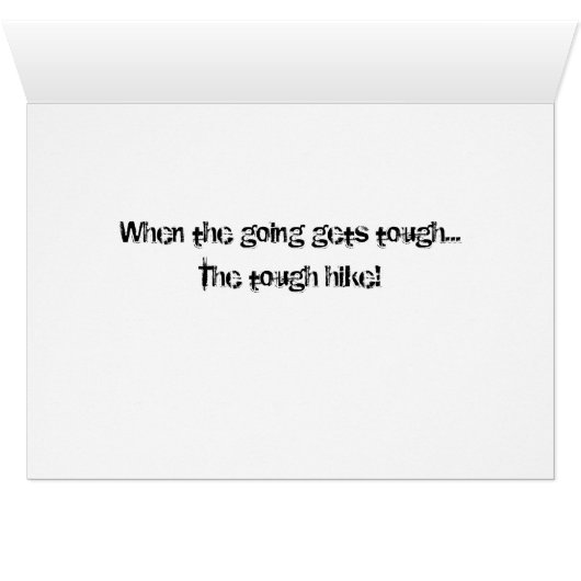 Competition Sailing Catamaran Picture (Inside Horizontal (Bottom))