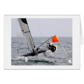 Competition Sailing Catamaran Picture (Front Horizontal)