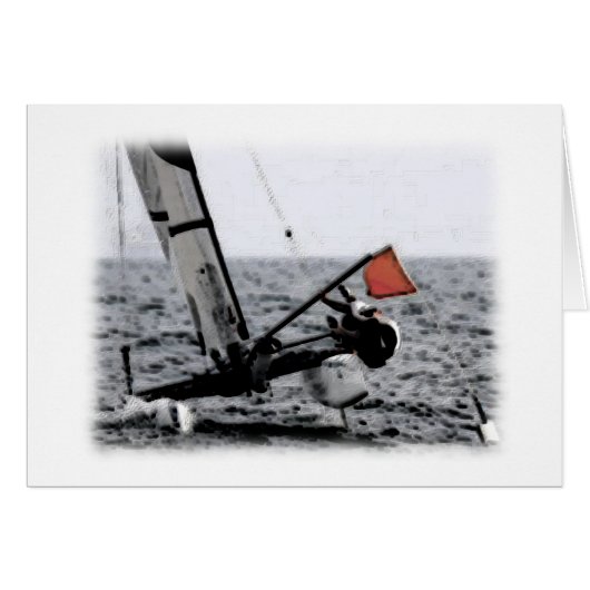 Competition Sailing Catamaran Picture (Front Horizontal)