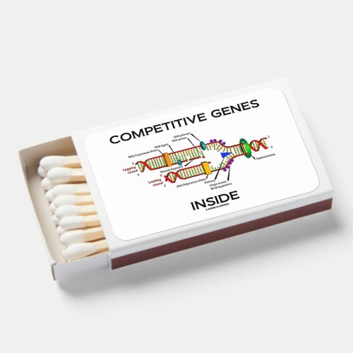 Competitive Genes Inside DNA Replication Humor Matchboxes