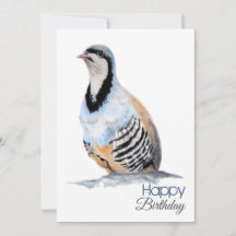 COMPLEANNO del cacciatore di coturnici 