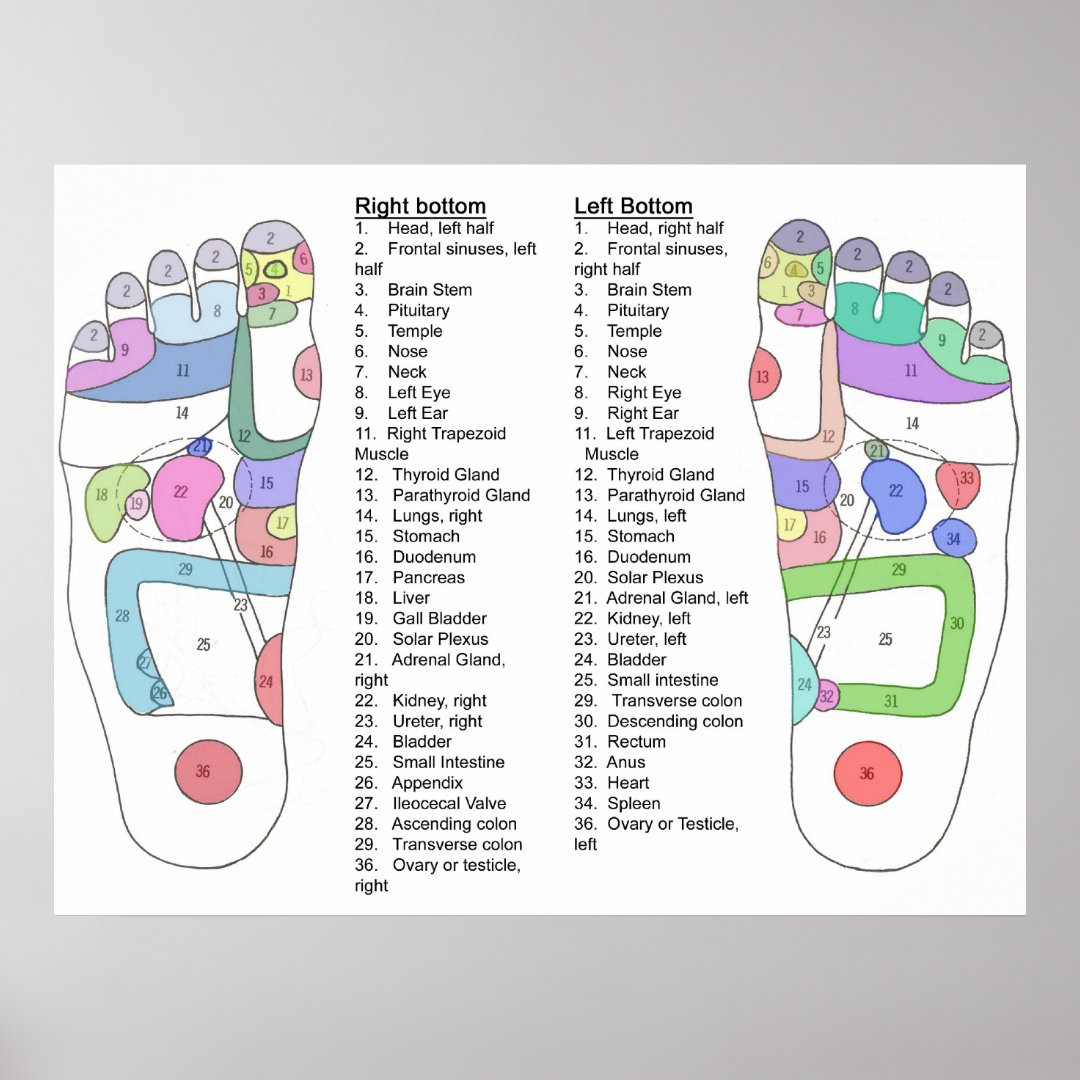 Complete foot Acupressure diagram Poster Zazzle