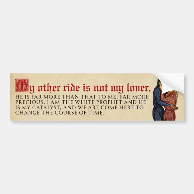 Completely normal relationship bumper sticker (Front)