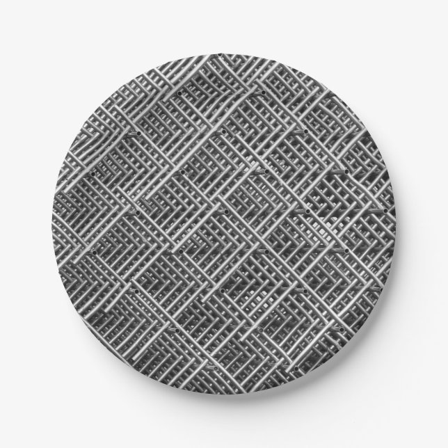 Complex Metal Structure Paper Plates (Front)