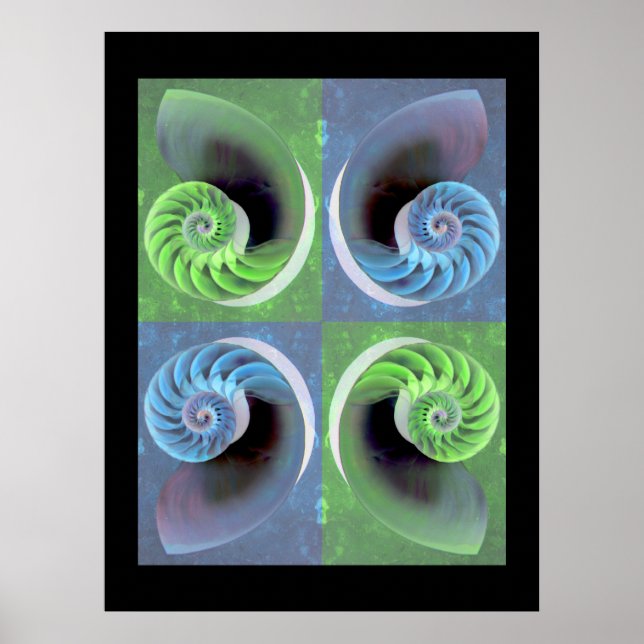 Composite Nautilus Poster (Front)