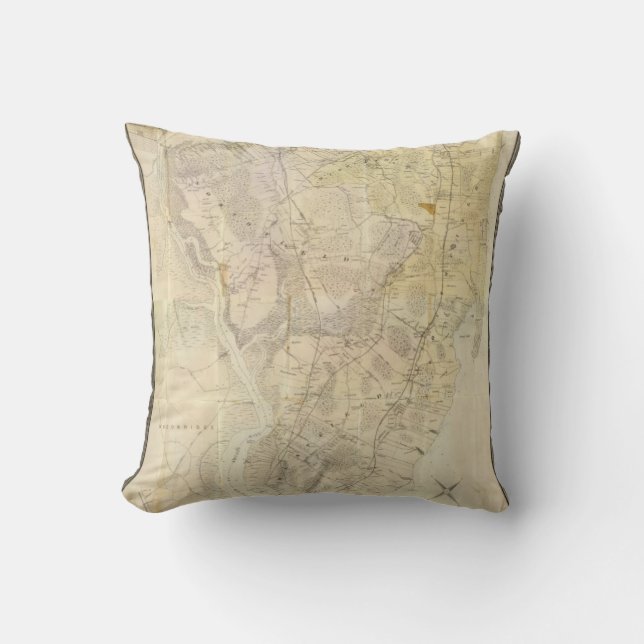 Composite Staten Island Throw Pillow (Front)