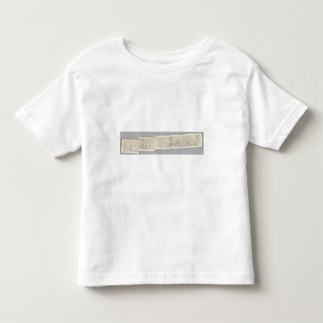 Composite Topographical maps IV Toddler T-shirt (Front)