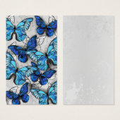 Composition of White and Blue Butterflies (Front & Back)