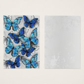 Composition of White and Blue Butterflies (Front & Back)