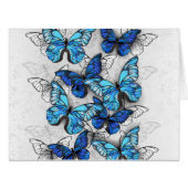 Composition of White and Blue Butterflies (Front Horizontal)