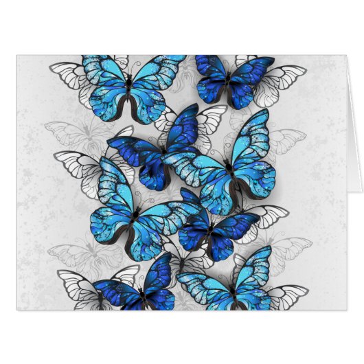 Composition of White and Blue Butterflies (Front Horizontal)