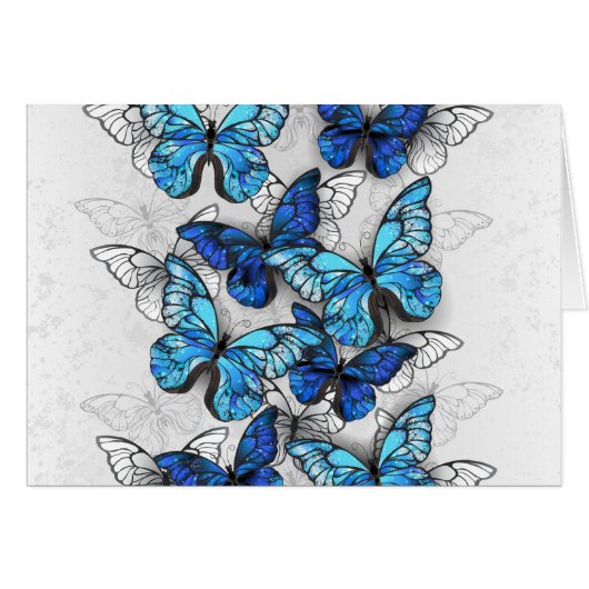 Composition of White and Blue Butterflies (Front Horizontal)