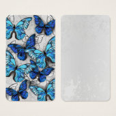 Composition of White and Blue Butterflies (Front & Back)
