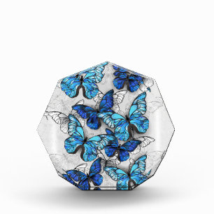 Composition of White and Blue Butterflies Acrylic Award