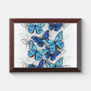 Composition of White and Blue Butterflies Award Plaque