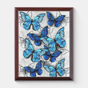 Composition of White and Blue Butterflies Award Plaque