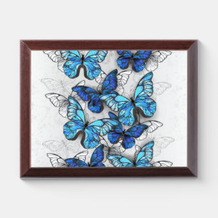 Composition of White and Blue Butterflies Award Plaque