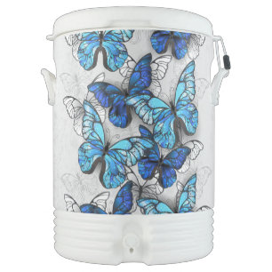 Composition of White and Blue Butterflies Beverage Cooler