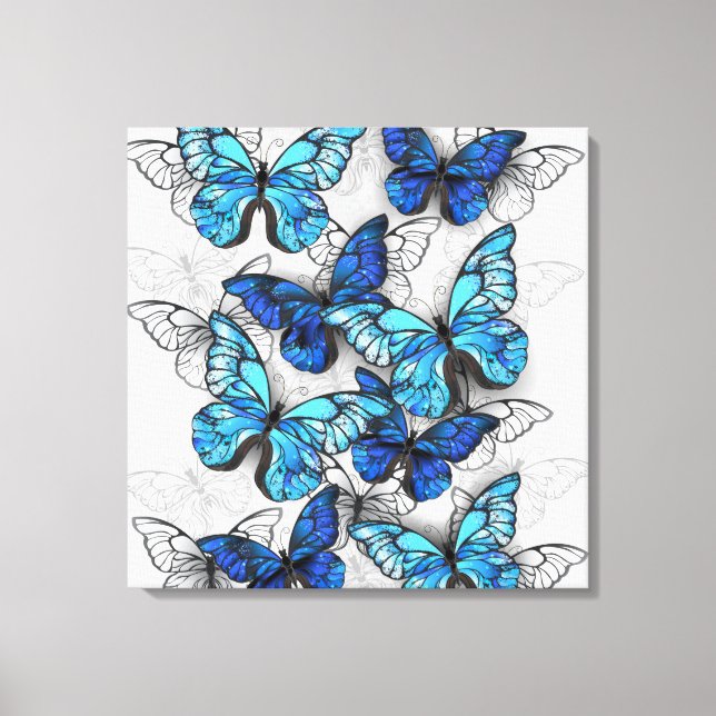 Composition of White and Blue Butterflies Canvas Print (Front)