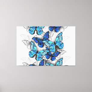 Composition of White and Blue Butterflies Canvas Print