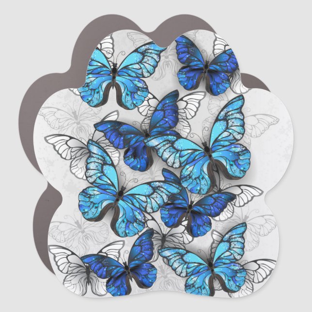 Composition of White and Blue Butterflies Car Magnet (Front)