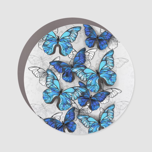 Composition of White and Blue Butterflies Car Magnet (Front)