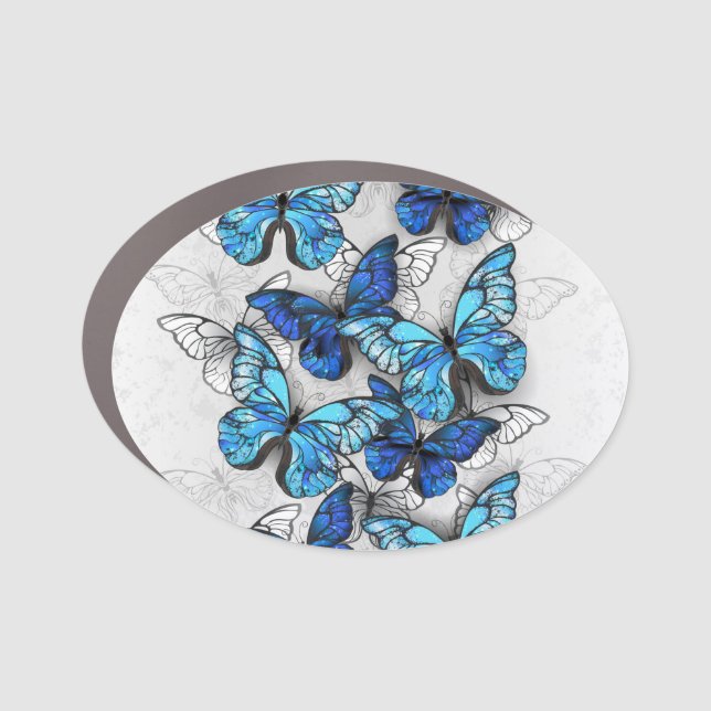 Composition of White and Blue Butterflies Car Magnet (Front)