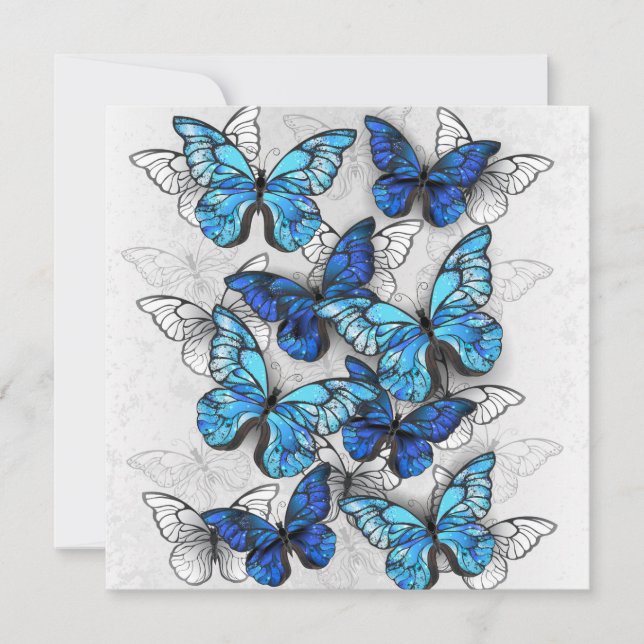 Composition of White and Blue Butterflies Card (Front)
