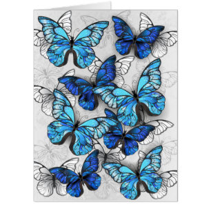 Composition of White and Blue Butterflies Card