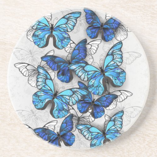 Composition of White and Blue Butterflies Coaster