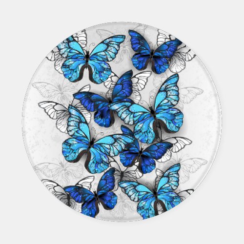 Composition of White and Blue Butterflies Coaster Set