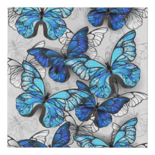 Composition of White and Blue Butterflies Faux Canvas Print