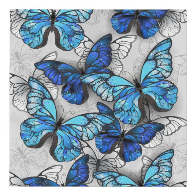 Composition of White and Blue Butterflies Faux Canvas Print (Front)