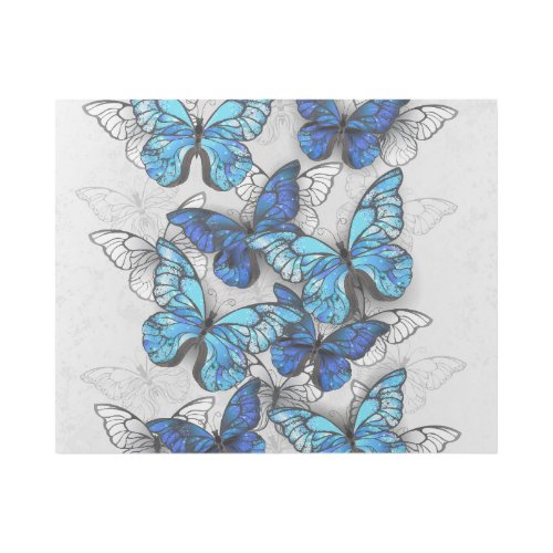 Composition of White and Blue Butterflies Gallery Wrap