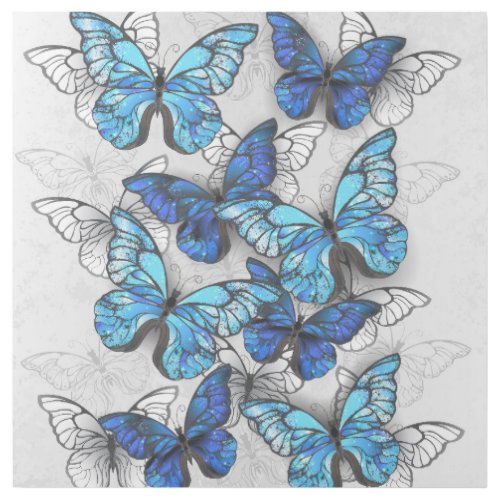 Composition of White and Blue Butterflies Gallery Wrap