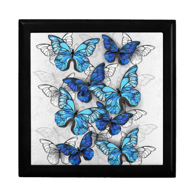 Composition of White and Blue Butterflies Gift Box (Front)