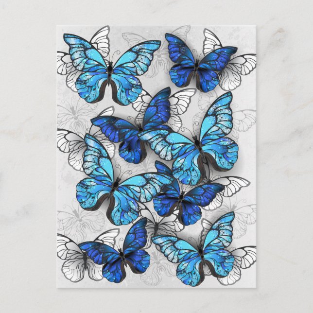 Composition of White and Blue Butterflies Invitation Postcard (Front)