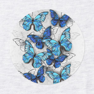 Composition of White and Blue Butterflies Labels