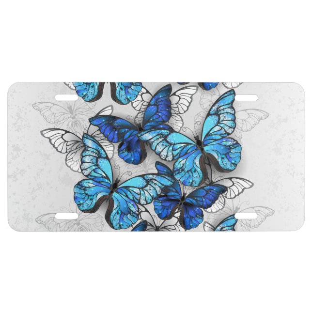Composition of White and Blue Butterflies License Plate (Front)