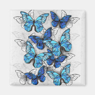 Composition of White and Blue Butterflies Magnet
