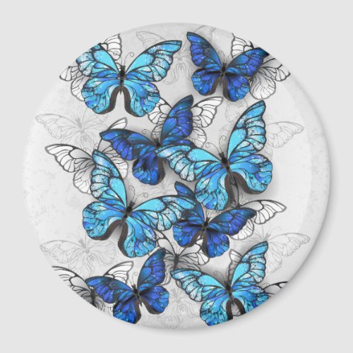 Composition of White and Blue Butterflies Magnet